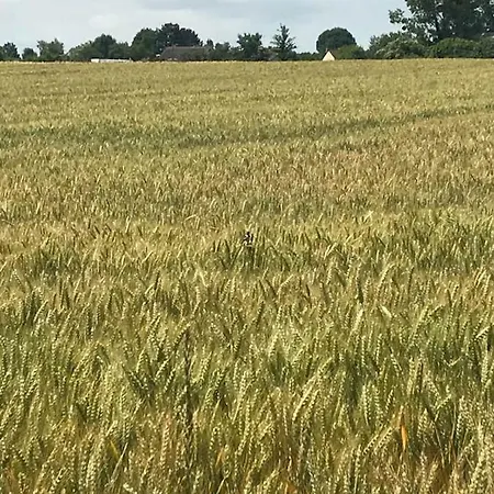 La Ferme Des Noyers Сasa de vacaciones